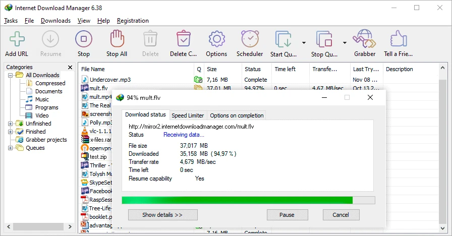 Descargar Internet Download Manager: interfaz principal con la lista de descargas