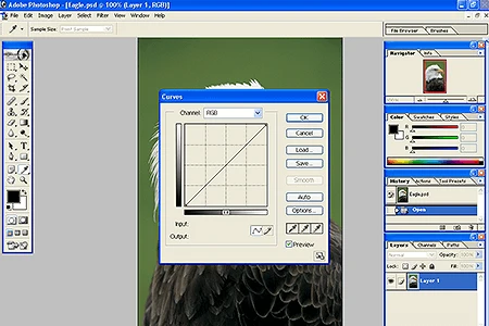 Adobe Photoshop 7 full version: herramienta de curvas para corrección de color