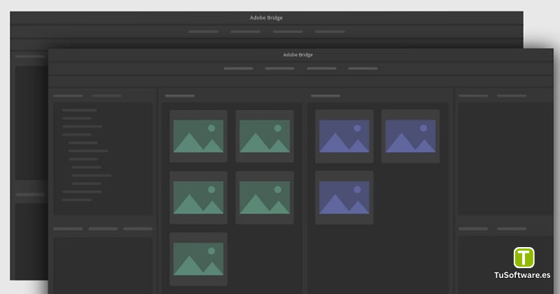 Adobe Bridge 2026