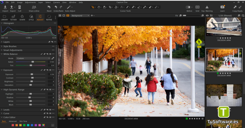 Capture One Pro Descargar para PC