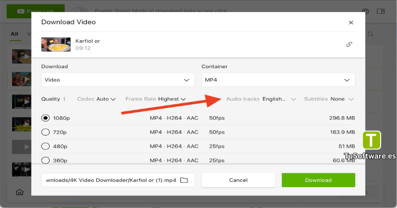 4K Video Downloader Plus