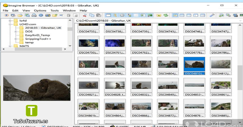Descargar Imagine Full Espanol